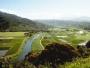 Hanalei Valley
