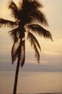 Sunrise on the gulf