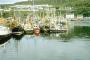 Herring Fleet