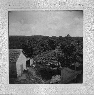 The Orchard